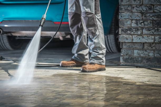 Best Graffiti Removal  in Elsa, TX